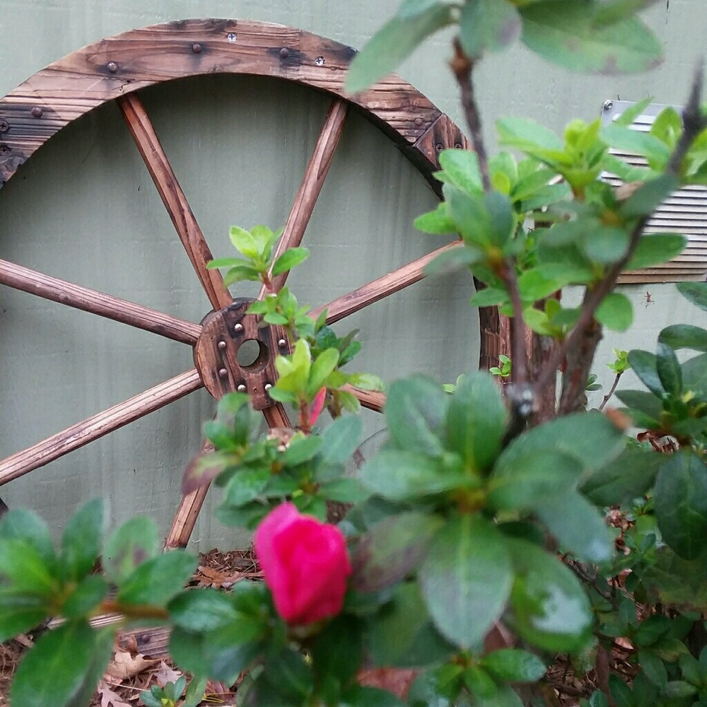 Meet your Posher, Rosalie